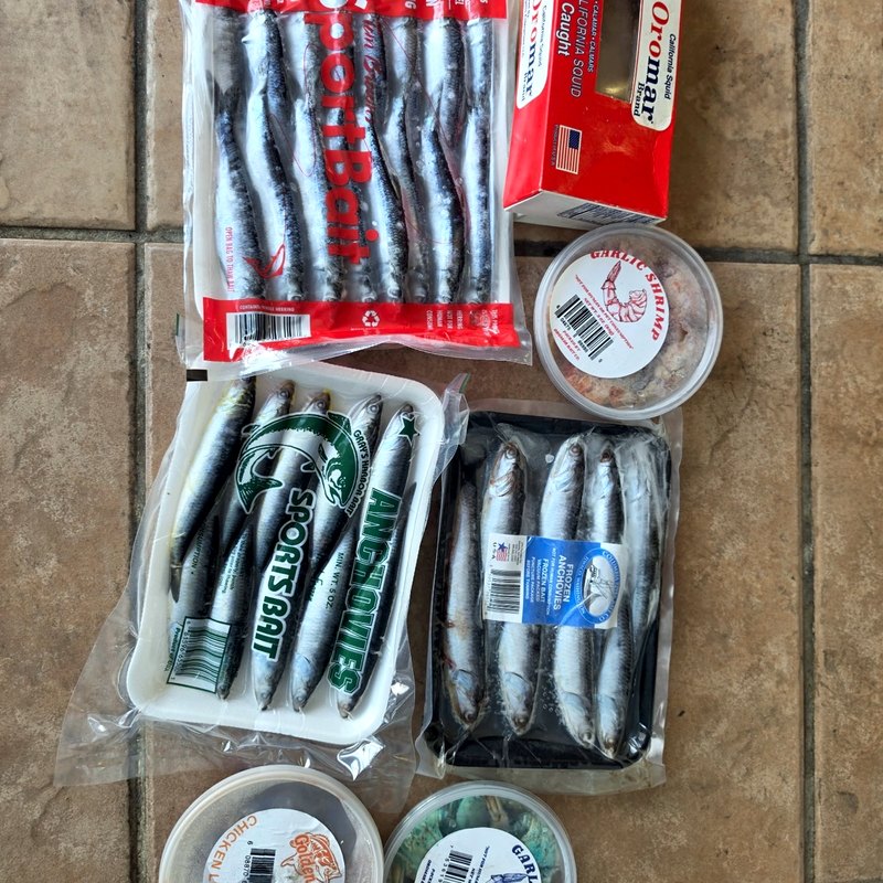 Packaged bait and worm tubs ready to go
